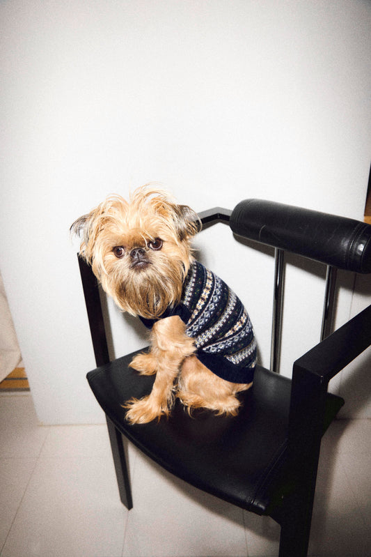 jacquard pattern dog KNIT