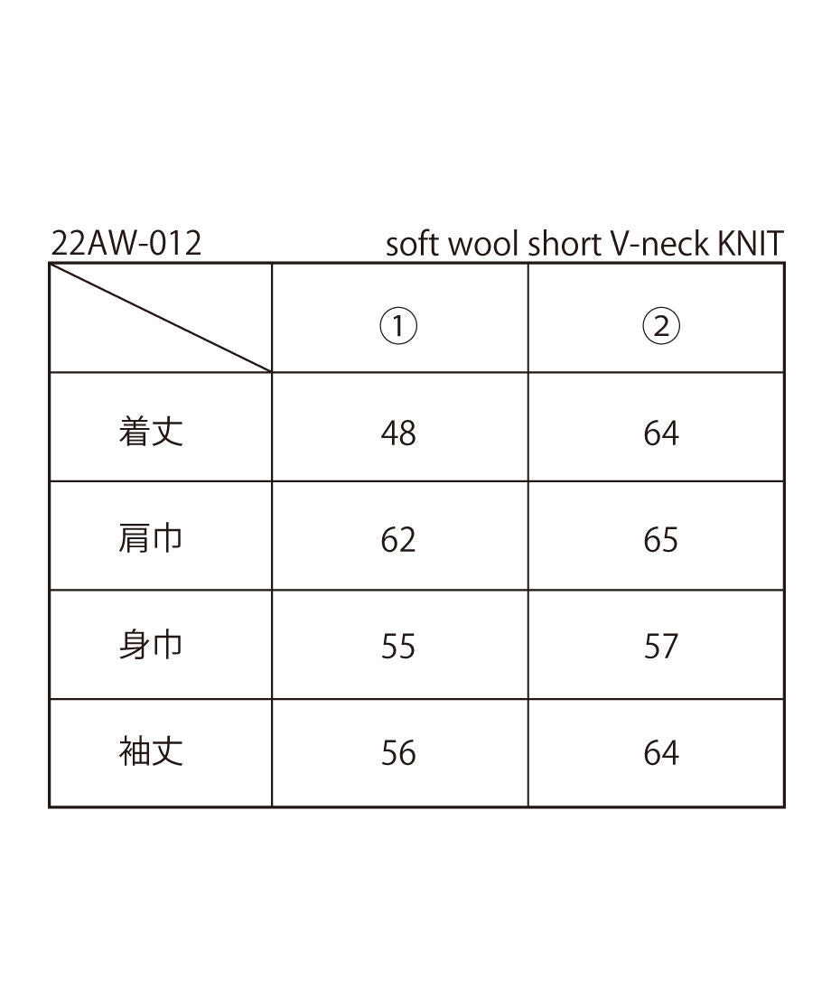 soft wool short V-neck KNIT_18