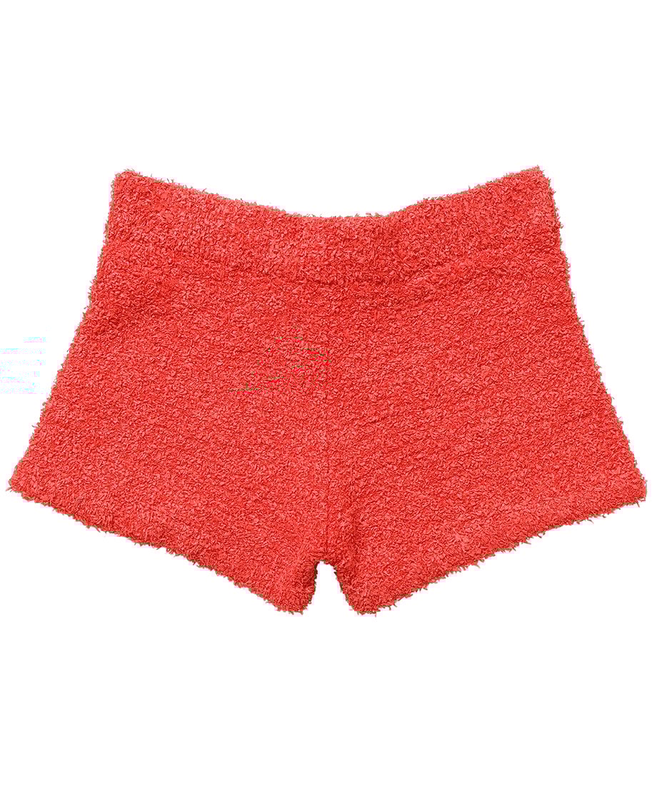 dry shaggy short pants_8
