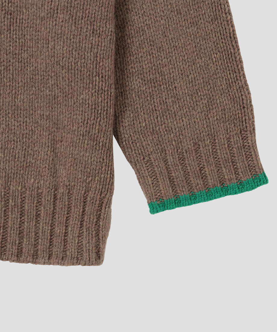 color linking turtle KNIT_10