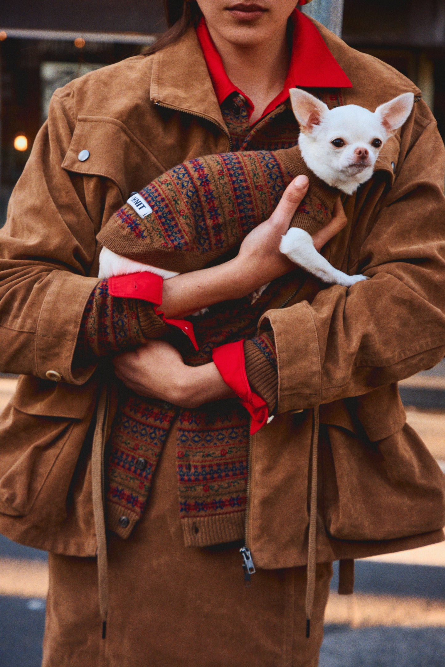 jacquard pattern dog KNIT