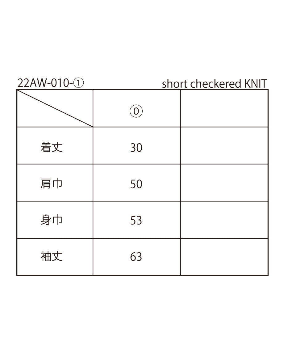 short checkered KNIT_11