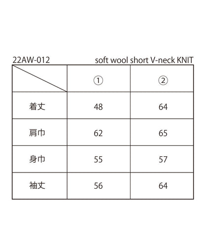 soft wool short V-neck KNIT_18