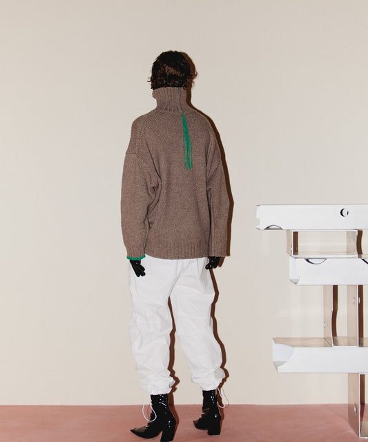 color linking turtle KNIT_1