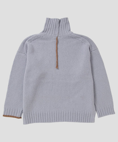 color linking turtle KNIT_6