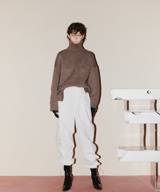 color linking turtle KNIT_2