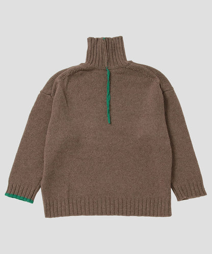 color linking turtle KNIT_4